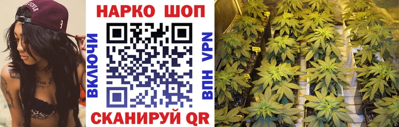 Купить наркотики сайты Каргополь Бошки Шишки  Псилоцибиновые грибы  ГАШ  Мефедрон  A-PVP 