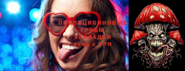 дживик Сосновый Бор